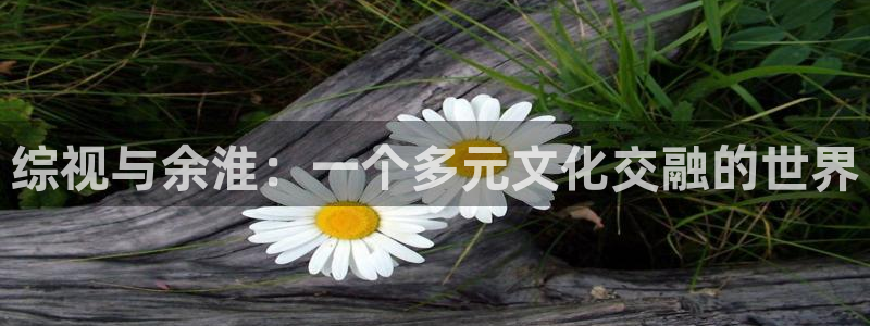 金桔電影網(wǎng)：綜視與余淮：一個多元文化交融的世界