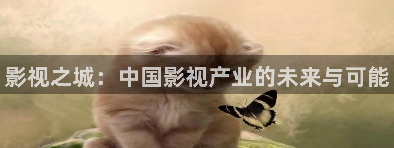 av金桔影院：影視之城：中國影視產(chǎn)業(yè)的未來與可能