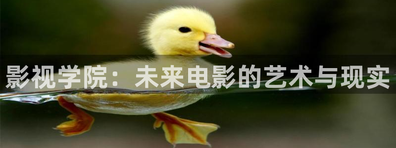 下載金桔影視：影視學院：未來電影的藝術與現實